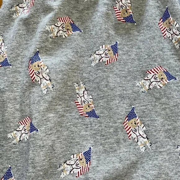 Polo Bear Ralph Lauren Men’s Team USA Flag Jogger Sleep Lounge Pants Gray Medium - Picture 3 of 4